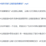 2000个旅游攻略视频素材 网盘下载