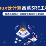 【学编程】Linux高端运维云计算就业班