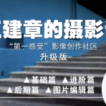 王建章全系列系统摄影课 升级版