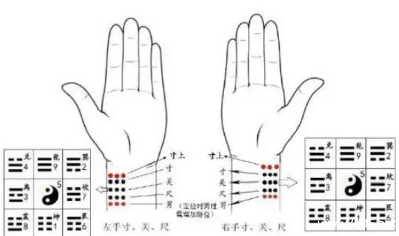 【学养生】太素脉法入门教程 秘传脉法断人吉凶