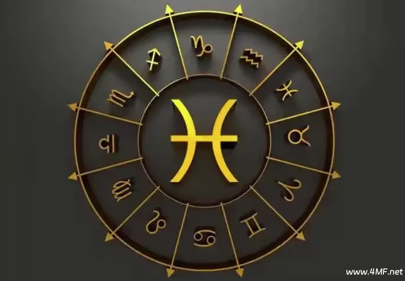 星辰八字教程（基础+进阶）