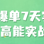 爆流爆单7天实操成长高能实战营视频教程