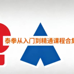 泰拳从入门到精通课程合集