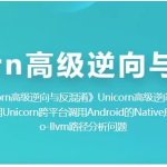 Unicorn 高级逆向与反混淆
